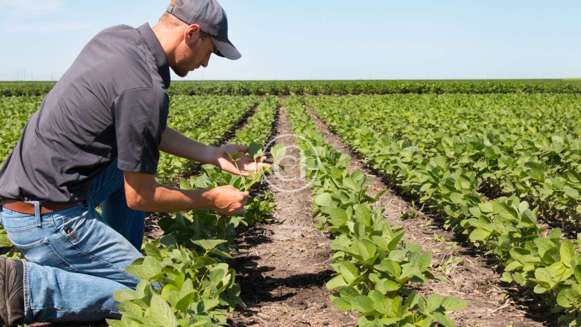 Corso di formazione per IMPRENDITORE AGRICOLO PROFESSIONALE (I.A.P.)
