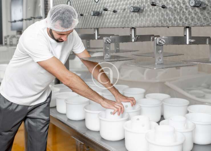Lavorazione dei prodotti lattiero caseari