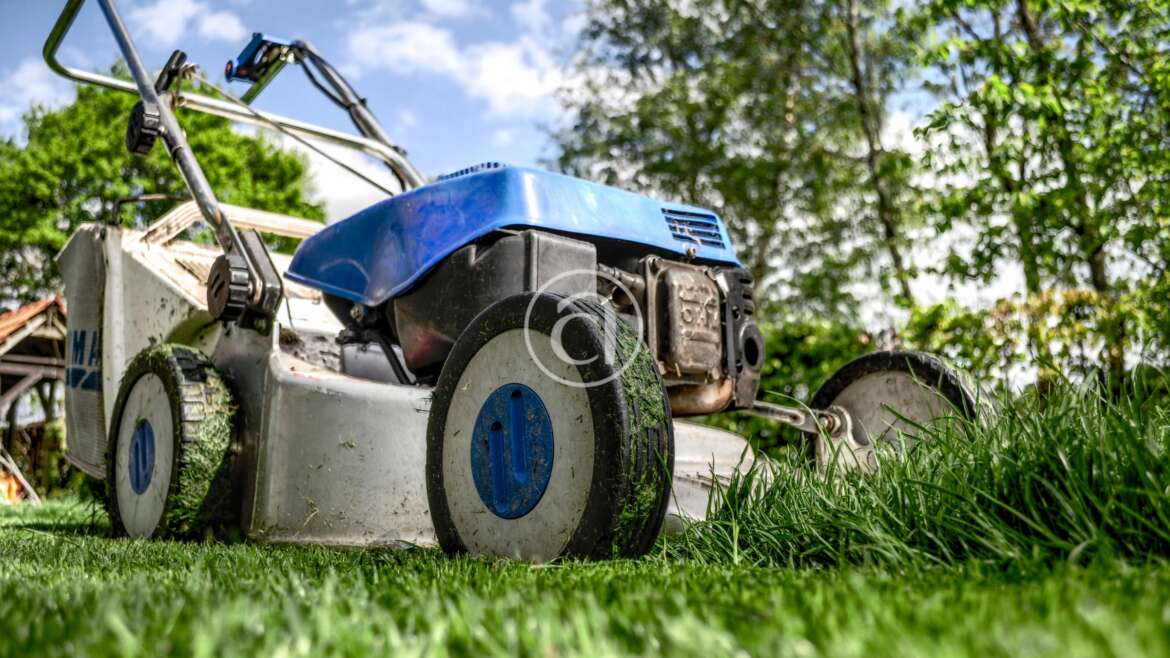 GARANZIA GIOVANI: APERTURA ISCRIZIONI AI CORSI GRATUITI PER GIARDINIERE